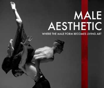 Thumbnail image for Nickerson-Rossi Dance: The Male Aesthetic.