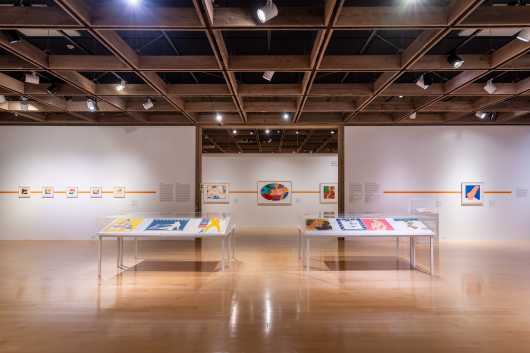 Photo of The Female Form: Tom Wesselmann & Mickalene Thomas from the Collections of Jordan D. Schnitzer and His Family Foundation exhibition.