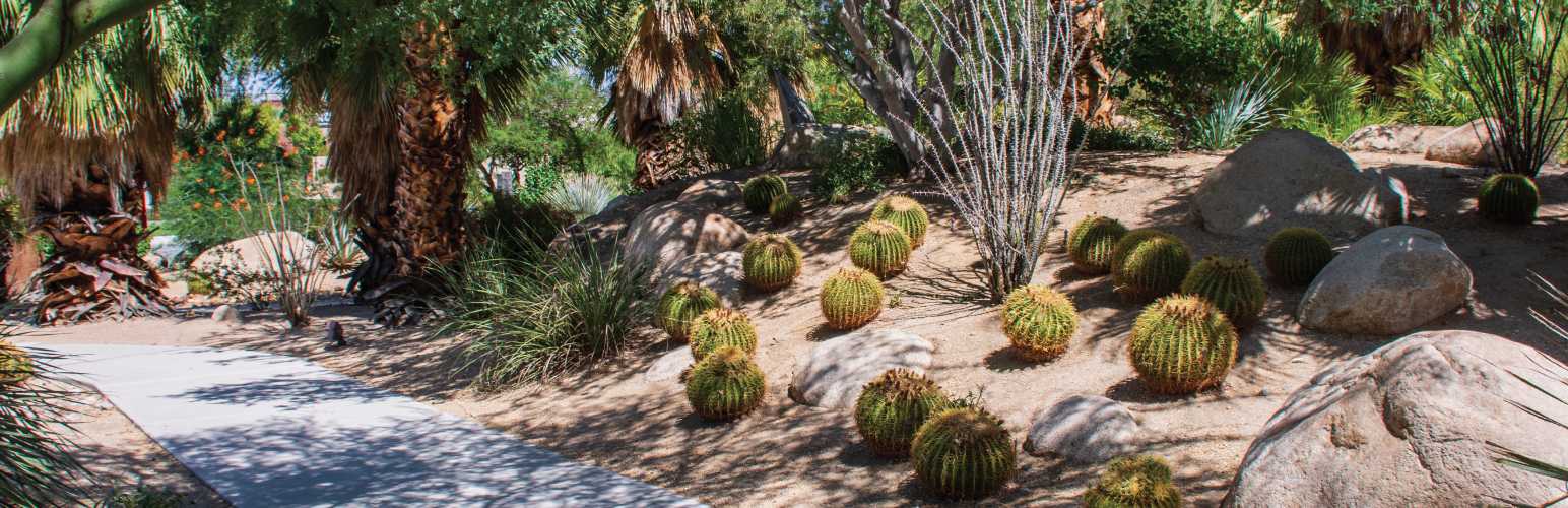 Image of Faye Sarkowsky Sculpture Garden.