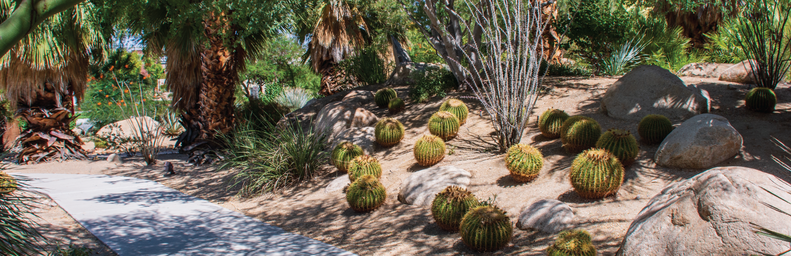 Faye Sarkowsky Sculpture Garden location photo