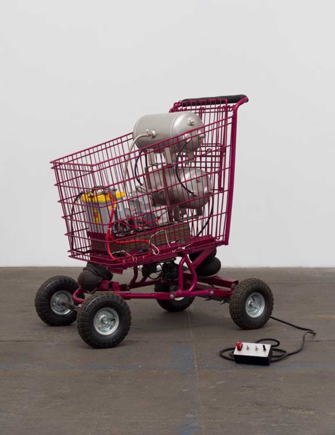 Rubén Ortiz-Torres, Shopper Hopper, 2016
