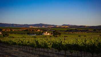 Thumbnail image for Architecture & Art in Napa.