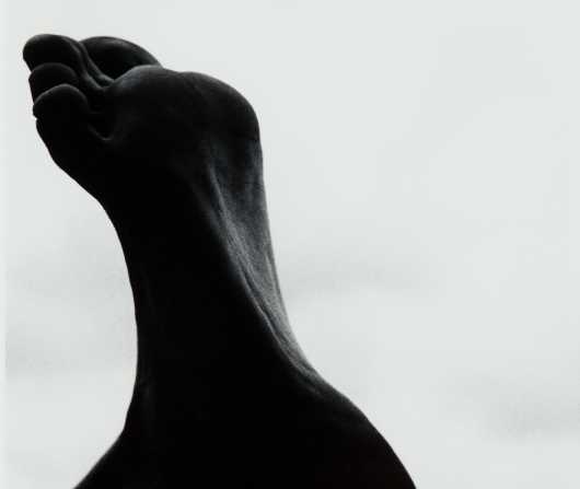 Photo of From the Permanent Collection: Bauhaus at 100 Years exhibition.