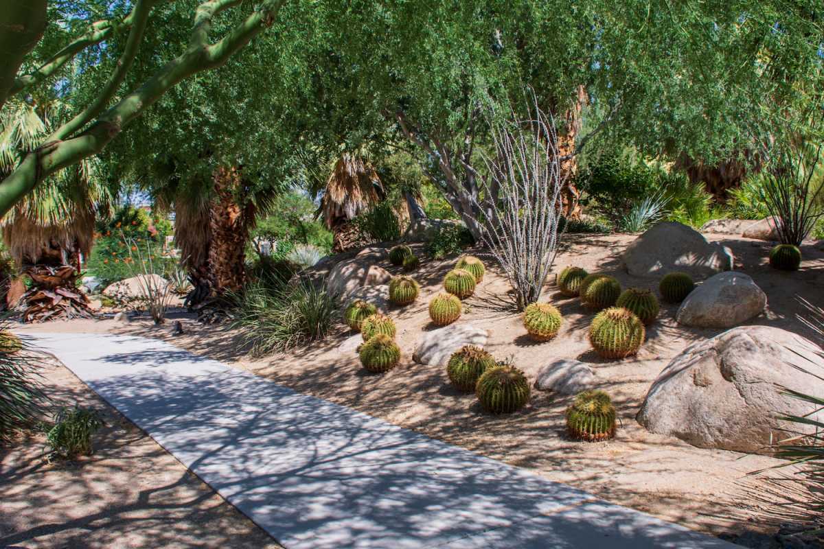 Image of Faye Sarkowsky Sculpture Garden.