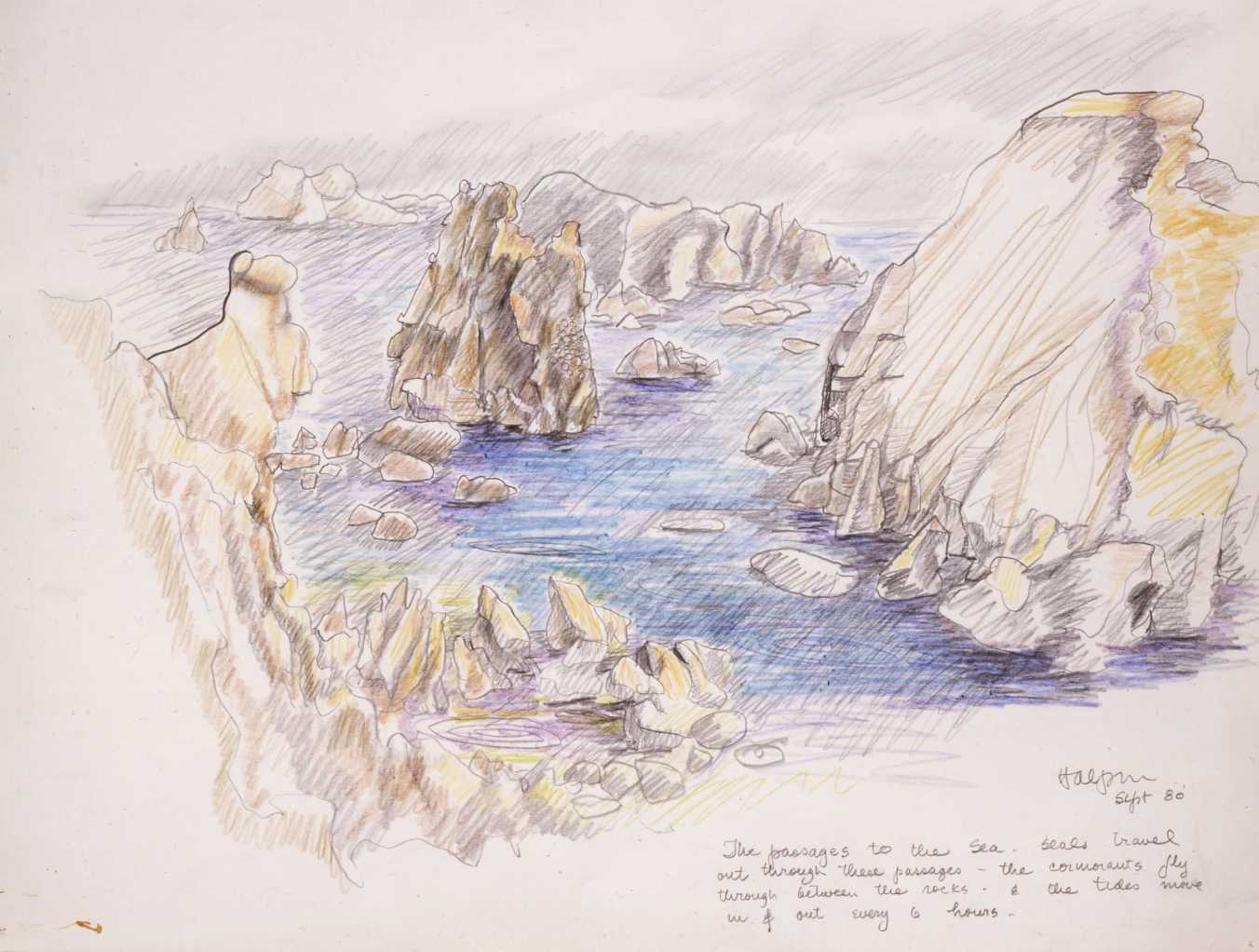 Shoreline and Ecosystem at Sea Ranch by Lawrence Halprin