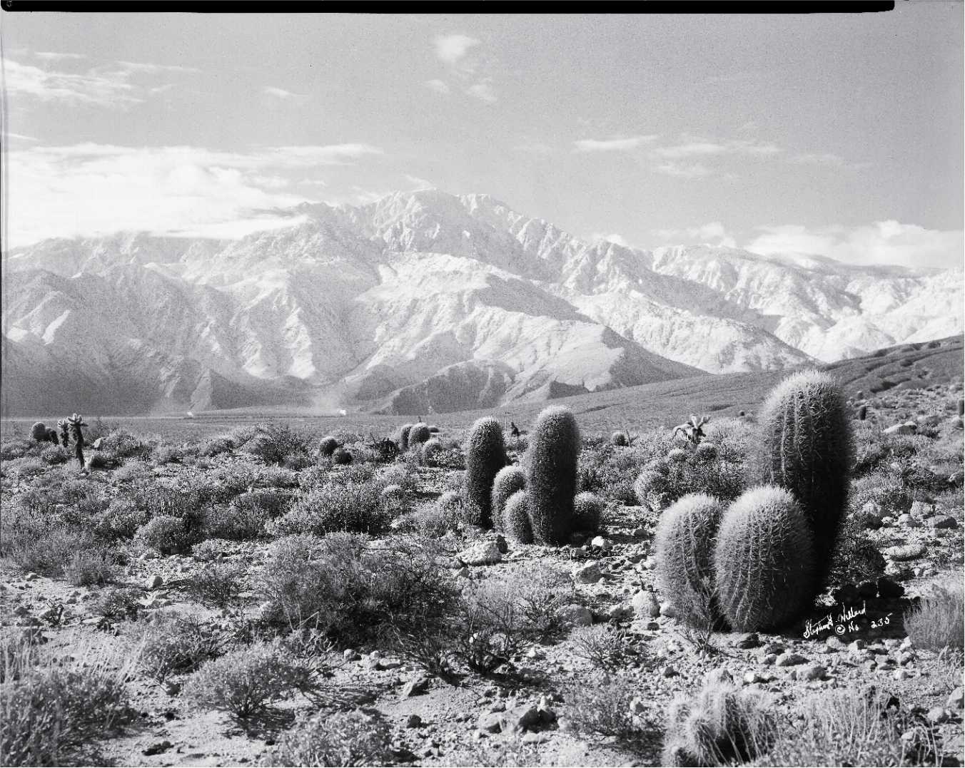 Stephen H. Willard, San Jacinto from Devils Garden